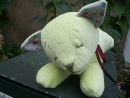 doudou petit chat 